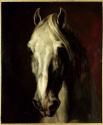 Hodet til en hvit hest. Maleri av Théodore Géricault (1791-1824)