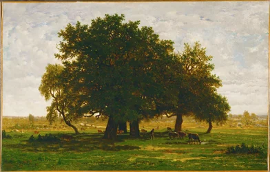 Gruppe med eiketrær, Apremont En gruppe med eiketrær, Apremont, Frankrike …