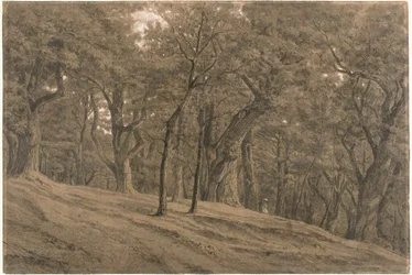 I Fontainbleau-skogen