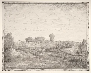 Plantesletten i Biau
