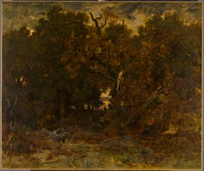 Forlater skogen, Fontainebleau: Solnedgang