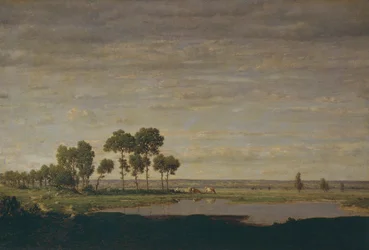 Vår, dam