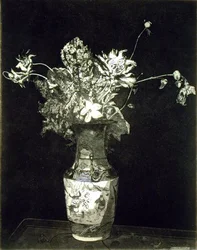 Blomstenes smerte