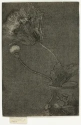 Valmue i en vase