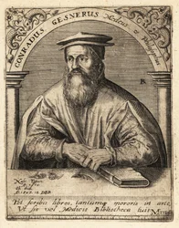 Conrad Gessner, sveitsisk lege