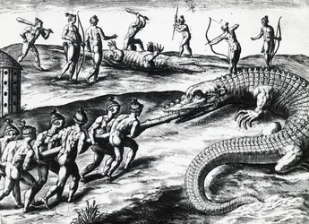Krokodillejakt i Florida, fra maleri av Jacques le Moyne de Morgues (ca 1533-før 1588), av Theodor de Bry (1528-1598). gravering