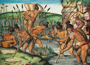 Gullgravere i Florida, farget gravering av Theodor de Bry (1528-1598) fra et maleri av Jacques le Moyne de Morgues (ca 1533-før 1588), fra Brevis Narratio