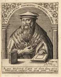 Leonhart Fuchs , tysk lege og botaniker 1501-1566.
