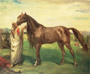 Hadji, en arabisk hingst, 1853