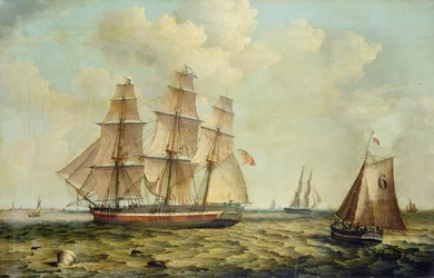 Tremastede barken «Halcyon» fra Hull