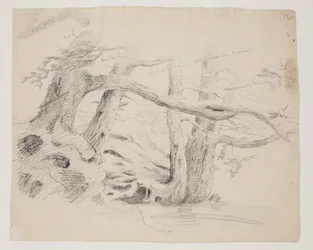 Jahangir, 17th century.    1206396   no       norwegian Successfully Translated  Original: Le Charge d Translat: Le Charge d 1334293 no norwegian Successfully Translated Original: Horse with Head Lowered, 1880searly 1890s. Translat: Keizerskroon, orchidee 