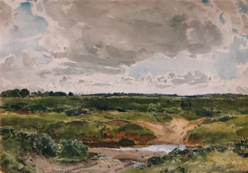 En vanlig i august, c1890