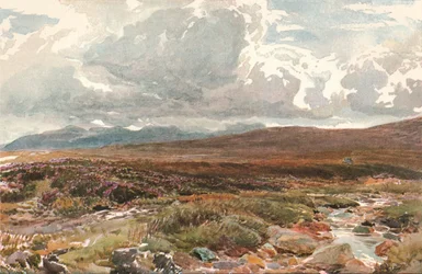 A Sussex Common, c1889