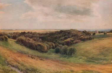 Arundel Park, 1874