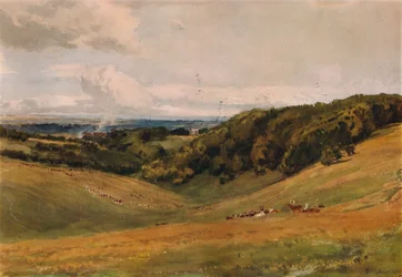 Arundel Park, med hjort, 1880