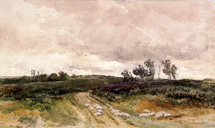Hedescene, 1878