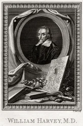 William Harvey, 1777