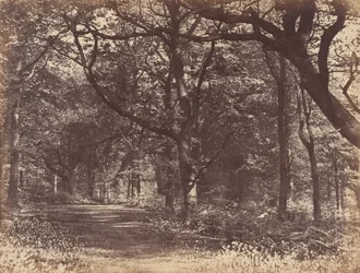 Trescene, Norton, Cheshire, 1856.