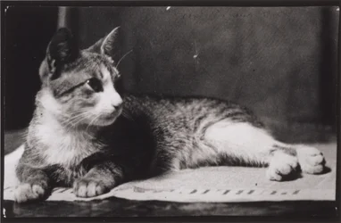 Fru Thomas Eakins