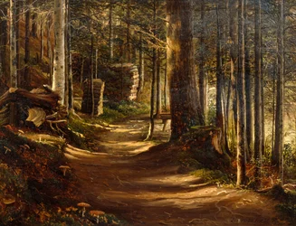 Vei i barskog