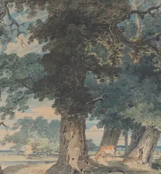 Hjort i Windsor Forest, 1793-94.