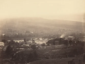 Olyfant