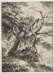 Prøver av polyautografi: Landskap med et eik, 1803.