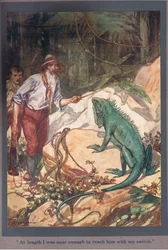 Endelig var jeg nær nok til å nå ham med bryteren min (fargelitografi)