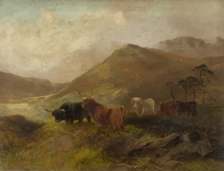 Sommertid på Cheviots