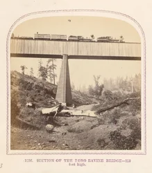 Seksjon av Long Ravine Bridge