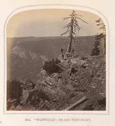 «Wahwonah» – eller Big Tree Point