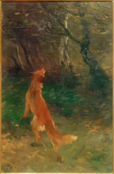 Fox ser på en fugl