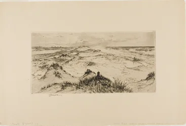 Ser over sanddynene - Easthampton