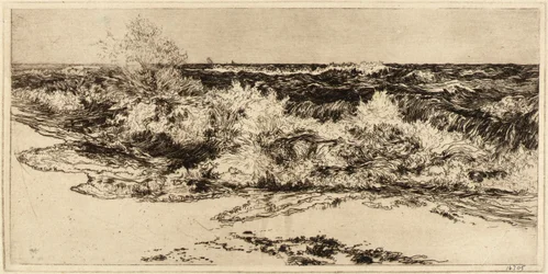 Det brusende havet
