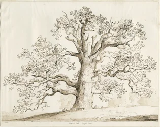 Blithfield - Squich Oak: penn og vask, 1837