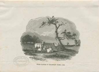 Chartley Hall - Park: tresnittsgravering