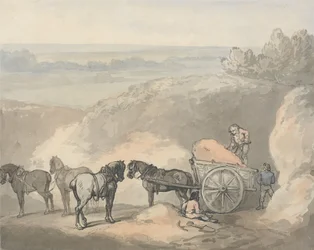 Hester og en vogn ved en sandkasse