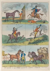 Seks klasser av det edle og nyttige dyr en hest, 10. oktober 1811., 10. oktober 1811.