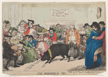 The Wonderful Pig, 12. april 1785., 12. april 1785.