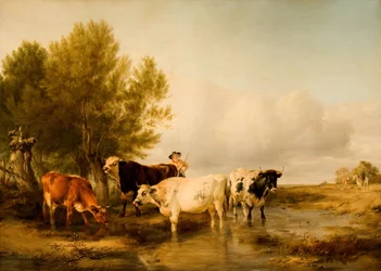 Storfe i en bekk, 1841.