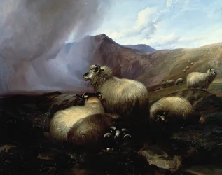 Highland Sheep in a Mountainous Landscape, 1854