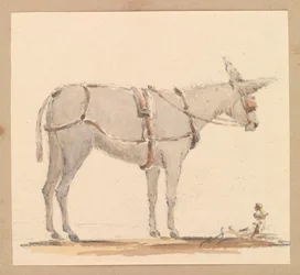 Studie av et esel med bissel og sele, ca. 1820 (blyant med brun og grå vask på papir)