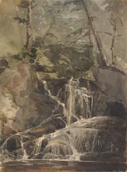 Liten foss i skogen