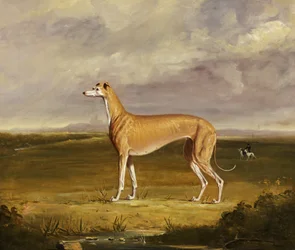 The Greyhound, ca. 1830 (olje på lerret)