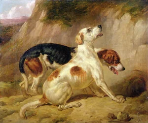 Fox Hounds, Fox Gone To Earth