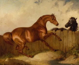 Hingst og hoppe (olje på lerret)