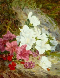 Azalea (olje på lerret)