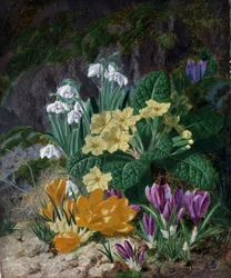 Vårblomster (inkludert krokus og primula). Maleri av Thomas Worsey (1829–1875). Privat samling.