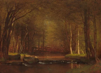 Trout Brook i Catskill-fjellene