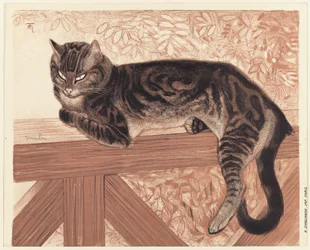 Sommer: Katt på en balustrade